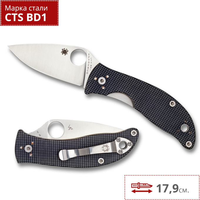 Нож SPYDERCO ALCYONE C222GPGY