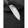 Нож SPYDERCO BILL MORAN DROP POINT FB02P