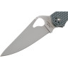 Нож SPYDERCO BYRD CARA CARA 2 BY03PGY2