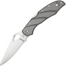 Нож SPYDERCO BYRD CARA CARA 2 BY03TIP2