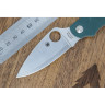 Нож SPYDERCO CALY 113GPGR