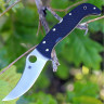 Нож SPYDERCO CHINOOK 4 63GP4