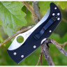 Нож SPYDERCO CHINOOK 4 63GP4