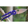 Нож SPYDERCO NATIVE 5 41GPDBL5