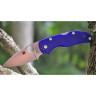 Нож SPYDERCO NATIVE 5 41GPDBL5