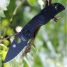 Нож SPYDERCO NATIVE 5 41PBBK5