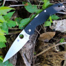 Нож SPYDERCO NATIVE CHIEF 244GP