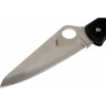 Нож SPYDERCO PACIFIC SALT 91PBK