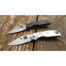 Нож SPYDERCO CHAPARRAL 152CFP