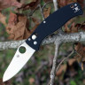 Нож SPYDERCO D’ALLARA 3 82GP3