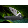 Нож SPYDERCO NATIVE 5 41CF40th